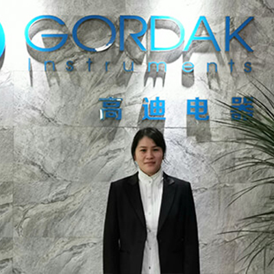 Clients' Visit - Gordak